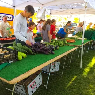 Vegetable stand