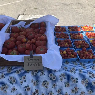Nothing like fresh tomatoes