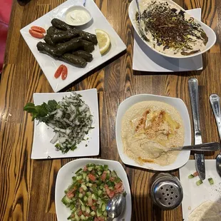 Eggplant delight, hummus, dolhem, shirazi salad