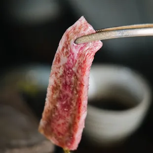 a piece of meat on a fork
