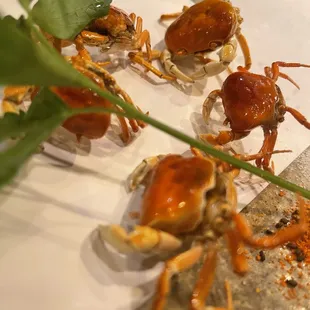 shellfish, oysters, oysters and mussels, mussels, food