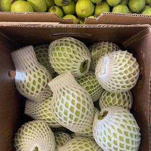 Tejal India Grocery