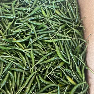 a box of green beans
