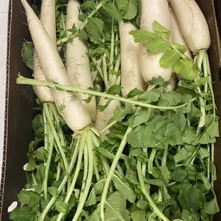 a box of radishes