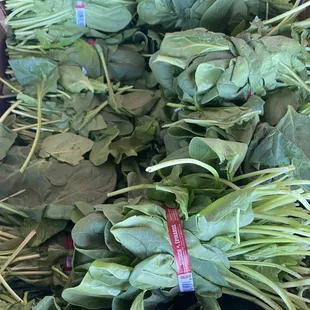 a pile of spinach leaves