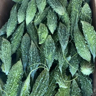 a box of bitter gourds