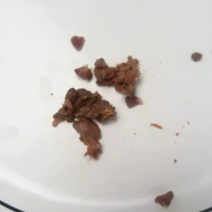 The organ when I pressed on it broke into little pebbles.  I found about for whole organs in 1 barbacoa taco.