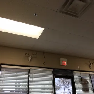 Friggin cattle skulls on the wall