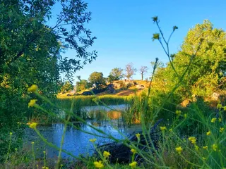 Stallion Springs Resort