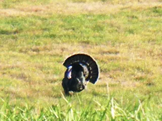 Dead Timber State Recreation Area
