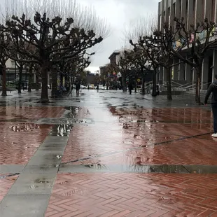 Looking back on Telegraph Avenue.