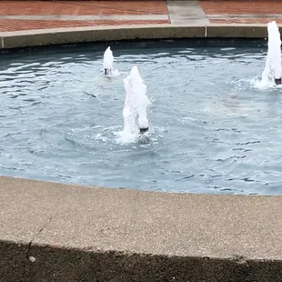 Fountain on Cal campus.