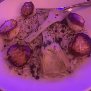 Venetian Scallops