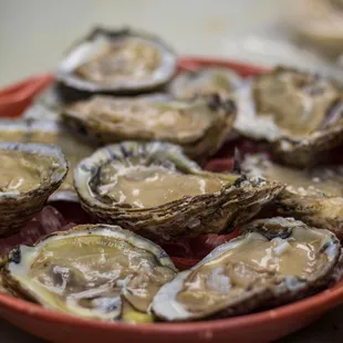 shellfish, food, oysters and mussels, oysters, mussels