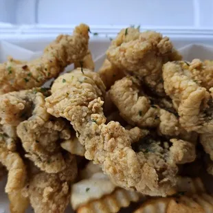 Catfish nuggets and fries