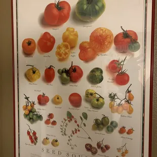 sushi, sashimi, sushi and sashimi, food