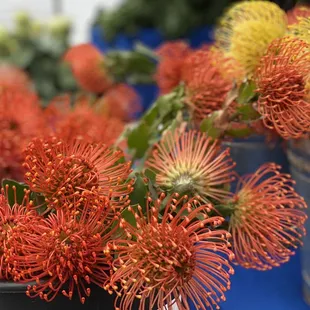 a variety of flowers