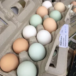 Interesting farm fresh eggs. So cute!