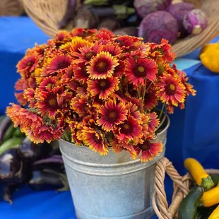 Blanket flowers as cutting flowers at farmer&apos;s stand