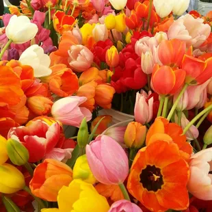 Tulip season is here! The most cheerful stall you&apos;ll find at the farmers market!