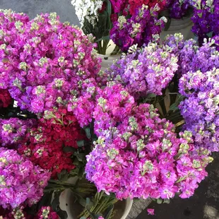 Florals.