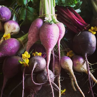 a bunch of beets and turnips