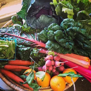 An April 2019 Classic Share: snow peas, Swiss chard, pink beauty radishes, carrots, tatsoi, Napa cabbage, oranges, and purple cabbage.
