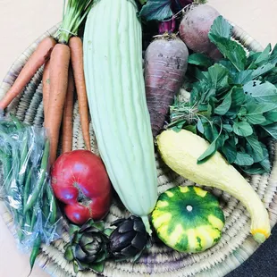A June 2019 Classic Share: tomatoes, Armenian cucumber, amaranth greens, green beans, artichoke, summer squash, beets, carrots