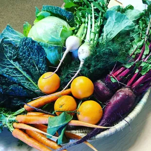 A March 2019 Classic Share: dill, kale, collard greens, carrots, red beets, beet greens, watermelon radish, radish greens, cabbage, oranges
