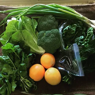 A March 2018 Classic share: Oranges, Green Onions, Broccoli, Arugula, Dill, Spinach, Black Beans, Romaine Lettuce