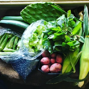 A July 2018 classic share: amaranth greens, nopales, zucchini, okra, romaine lettuce, black beans, red creamer potatoes, and corn