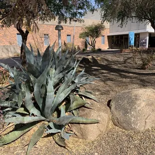 SW of Southern and Rural Museum 2/1/25