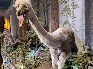 Arizona museum of natural sciences