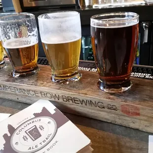 Temperance Row Flight