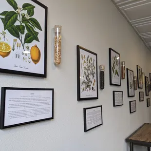 Check out our botanical wall to learn about the ingredients in our gins