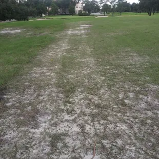 Pic 4, September 2020