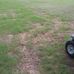 Pic 3, September 2020