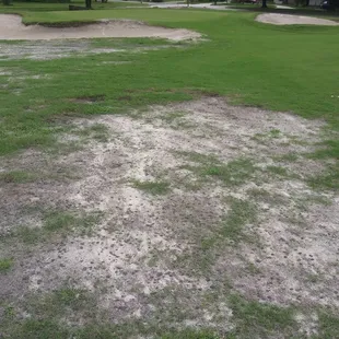 Pic 2, September 2020