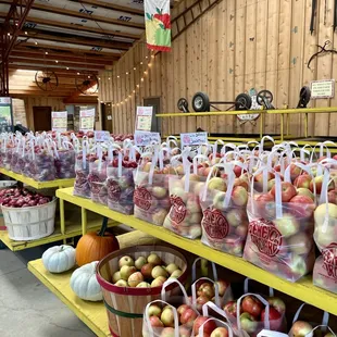 Peak season end September to End October