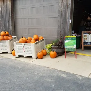 Bring your kids for the corn maze!