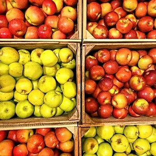 Over 50 varieties available over the 14 week Apple season
