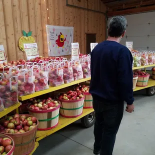 Our helper through the apple tasting process! Fan of the Snow Sweet Apple!
