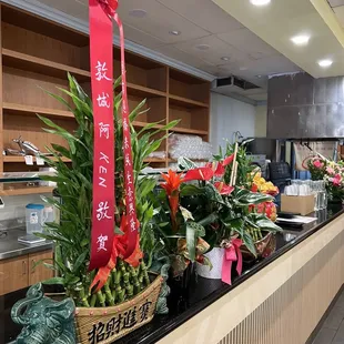 Housewarming plants