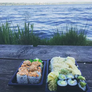 Salmon Avocado Roll