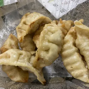 Gyoza