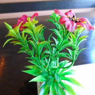Cute flowers glued to my plate with a chunk of wasabi.