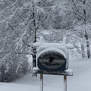 A snowy day at Tenba Ridge