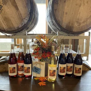 Fall at Tenba Ridge