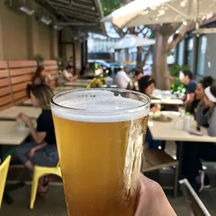 drink, sushi and sashimi