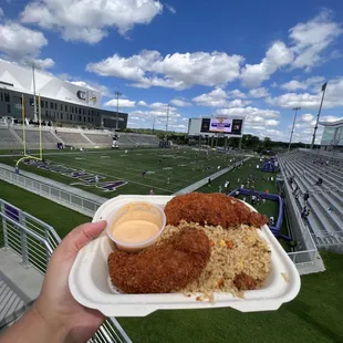 a hand holding a plate of food